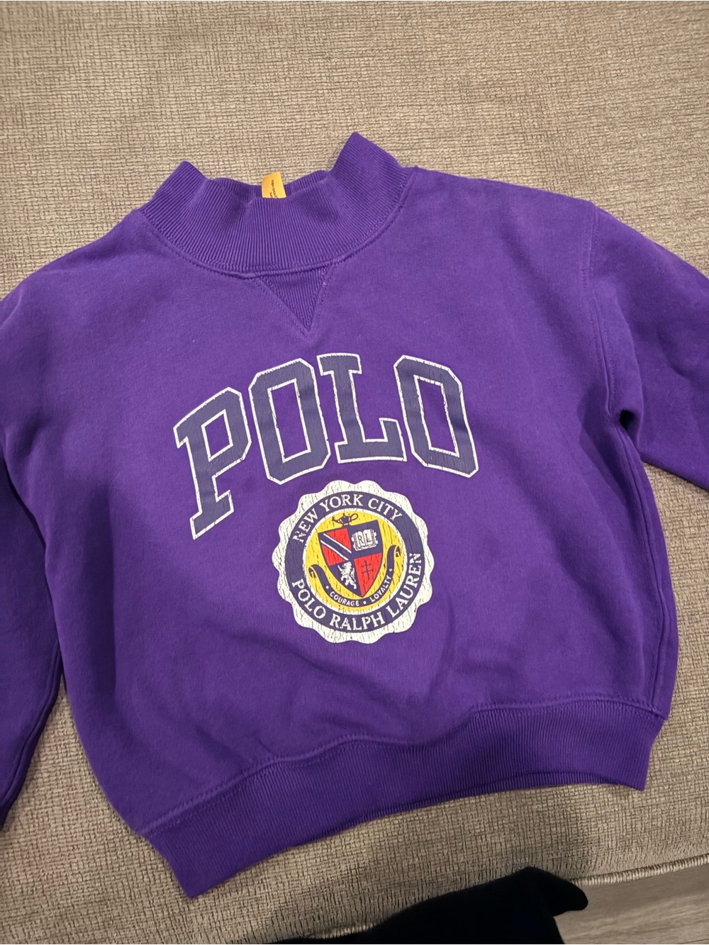 Polo by Ralph Lauren Purple Mockneck Sweatshirt